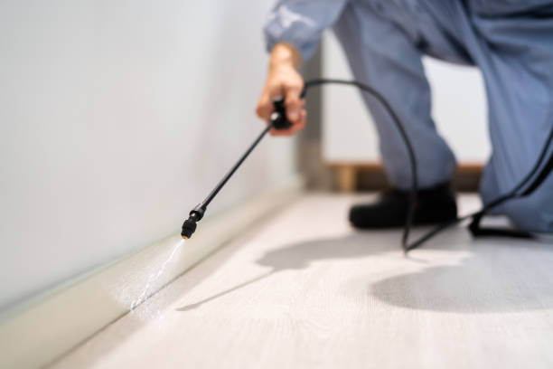 Licensed Pest Control service in Fredonia, NY - Show Me Pest Control