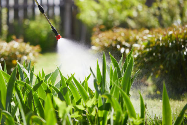 Tamper-Resistant Bait Stations for Rodents in Fredonia