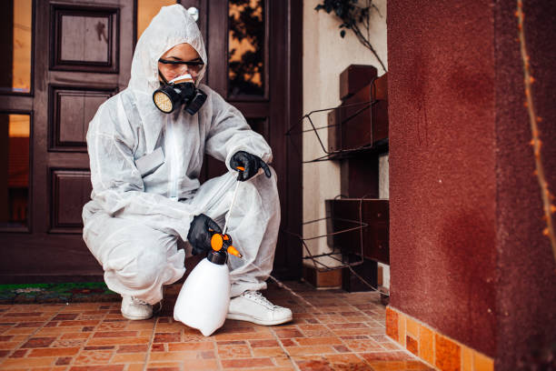 Attic and Crawl Space Rodent Treatment in Fredonia