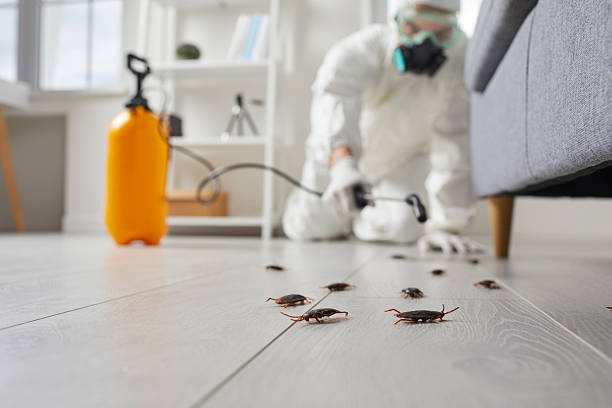 Commercial Rodent Management in Fredonia